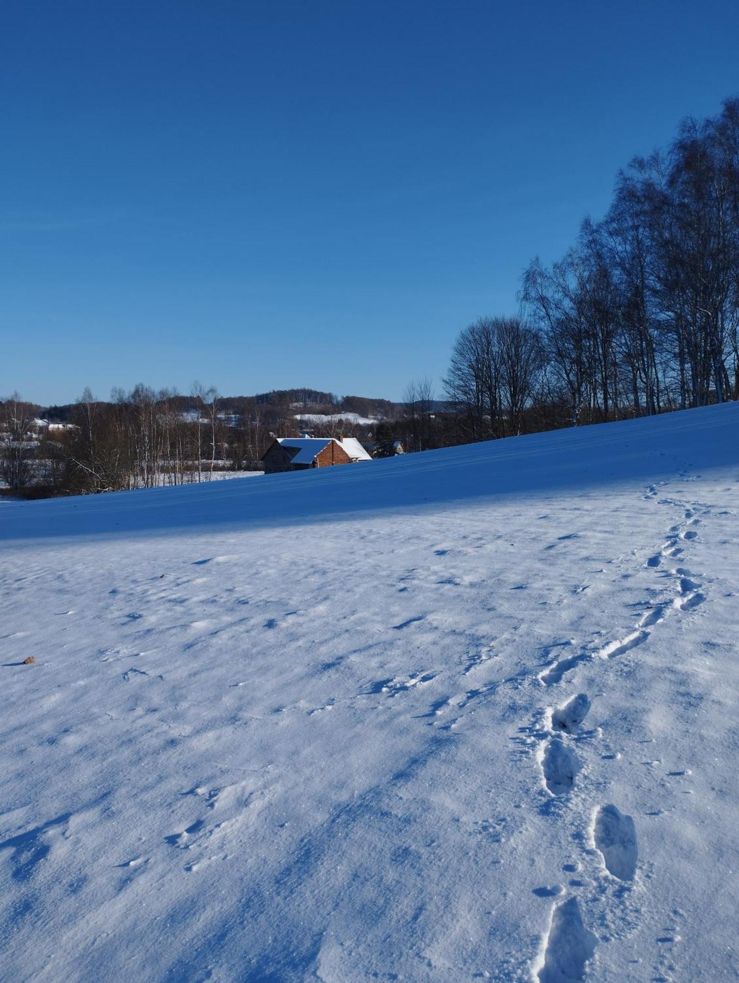 Zimmeruv Statek Mikulášovice Bagian luar foto